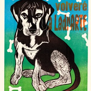 NO VOLVERÉ A LADRARTE - 1/4