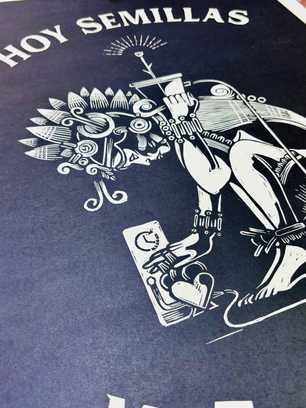 HOY SEMILLAS MAÑANA  FLORES4