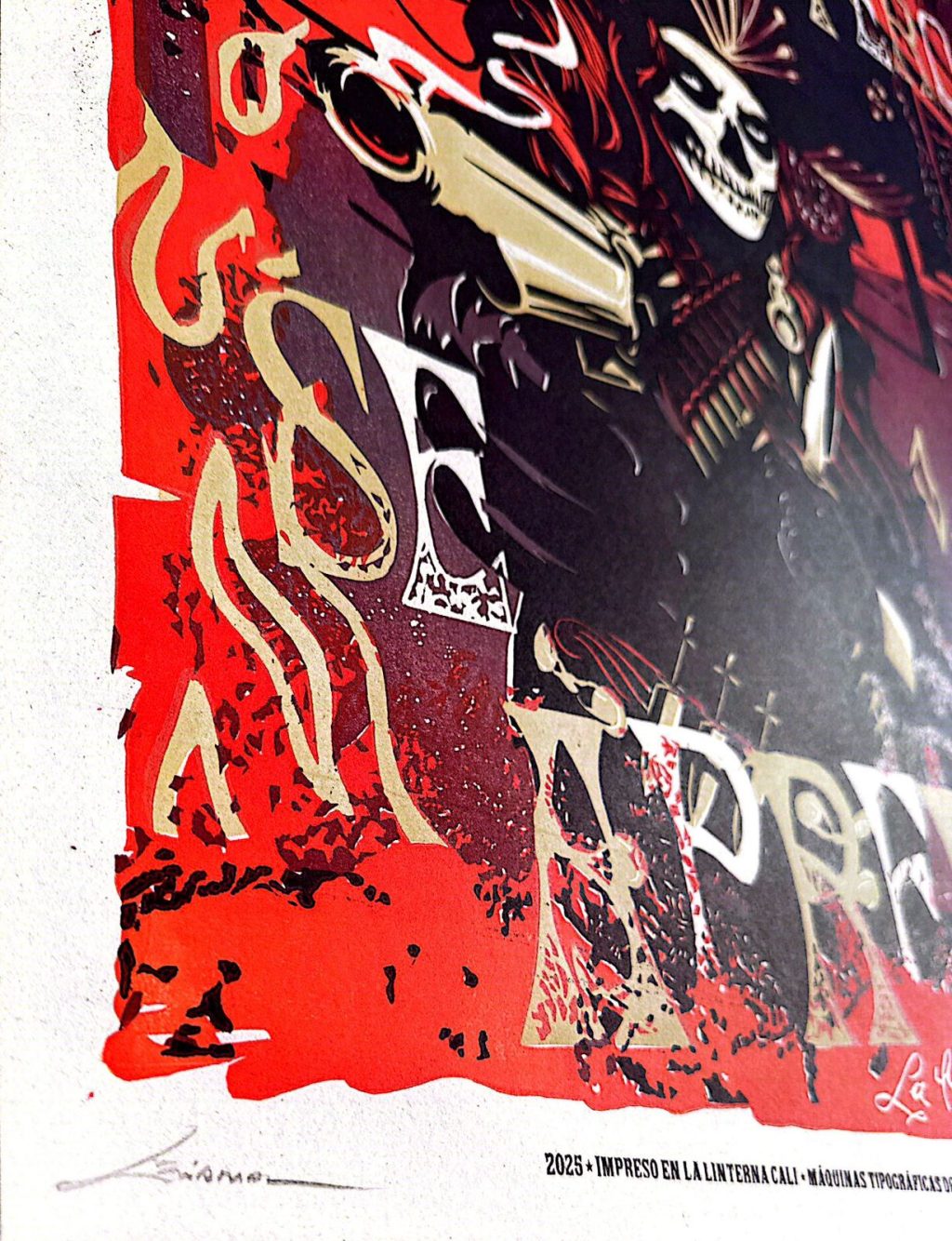 WhatsApp Image 2026-01-05 at 4.11.45 PM